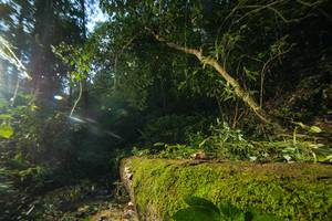 BIB: 
                            <button type="button" onclick="openModal(18921230)" class="btn btn-primary btn-sm float-right btn-popup" data-toggle="modal" data-target=".modal-high-quality">
                        <i class="fas fa-shopping-cart"></i> Add to Cart
                    </button>
                                            <button type="button" onclick="isThisMe(18921230, true)" class="btn btn-success btn-sm float-right btn-popup btn-isme hidden" data-toggle="tooltip" data-placement="bottom" title="นี่คือรูปของคุณใช่ไหม คลิกที่นี่เพื่อเอาเข้าอัลบั้ม">
                        <i class="fas fa-plus"></i> Add to album
                    </button>
                    <button type="button" onclick="isThisMe(18921230, false)" class="btn btn-warning btn-sm float-right btn-popup btn-isnotme hidden">
                        <i class="fas fa-ban"></i> Remove from album
                    </button>